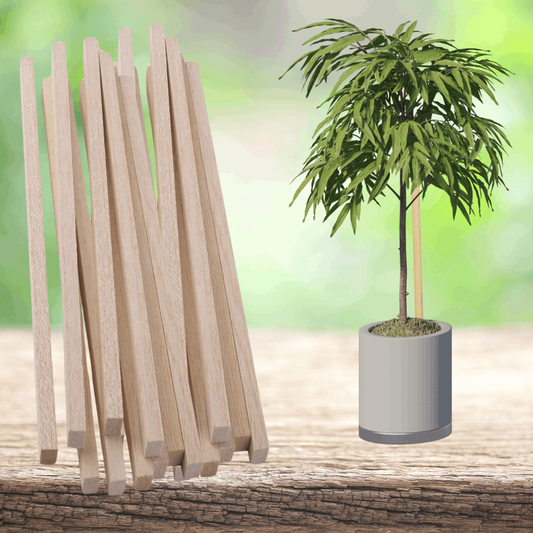 Wooden Sticks | Pinewood Sticks | 10 Pieces Wood Art Craft Wooden Sticks Pieces Dowels Pole Rods Sweet Trees Wood Stick (30cm(L) x 1cm(T)), Wood Craft Sticks for DIY, Pine Wood Stick Arts