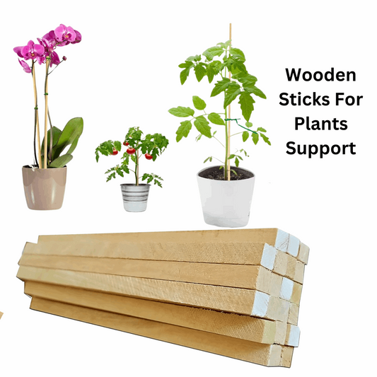 Wooden Sticks | Pinewood Sticks | 10 Pieces Wood Art Craft Wooden Sticks Pieces Dowels Pole Rods Sweet Trees Wood Stick (30cm(L) x 1cm(T)), Wood Craft Sticks for DIY, Pine Wood Stick Arts